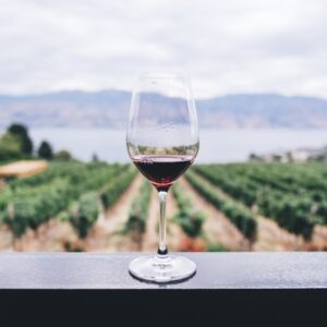 Domaine Laroche Chablis Grand Cru Les Clos 2020
